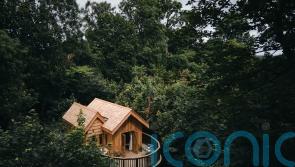 These might just be the coolest new treehouses in the UK