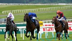 New Energy to be aimed at St James’s Palace after fine Curragh run