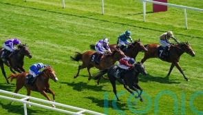 Horton has Ascot ambitions after fine start from Middleham base