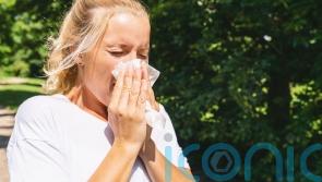 How gardeners can alleviate hay fever symptoms