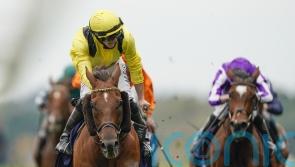 Marquand excited to renew Addeybb partnership at Sandown