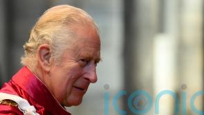 Charles wears ceremonial robes as nine are awarded Order of the Bath