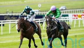 Conditions key to Brad The Brief target