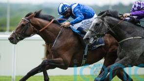 Hukum set for Coronation Cup spin