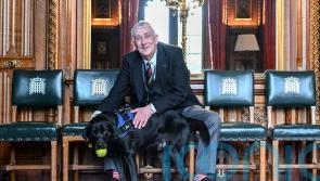 Speaker Hoyle: Trauma support dog would be ‘calming influence’ on MPs