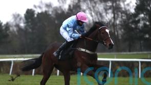 ‘Unexpected superstar’ Eileendover set to embark on broodmare career