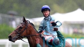 Quickthorn aiming to take advantage of Trueshan absence at Sandown