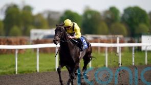 Royal Ascot next for German Guineas hero Maljoom