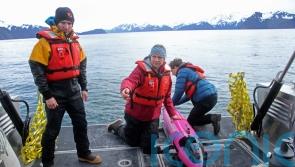 An ocean first: Underwater drone tracks carbon dioxide in Gulf of Alaska