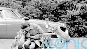 ‘PJ the corgi’ Platinum Jubilee emoji unveiled on royal Twitter account
