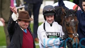 Constitution Hill given record rating for a novice hurdler