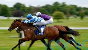 Maria Branwell collars Crispy Cat in National Stakes