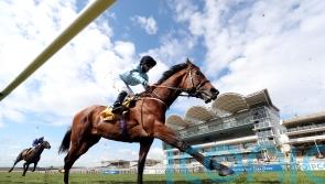 Gold Cup bid ruled out for Thunderous