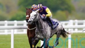 Quickthorn provides perfect boost for Princess Zoe