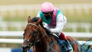 Lockinge run suggests Sunray in with major chance at Haydock