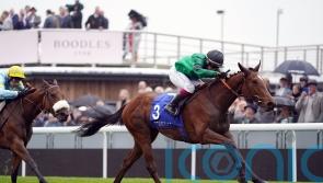 Absolutelyflawless firmly in trophy hunt at Beverley