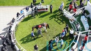 Dry forecast and watering for Epsom ahead of Derby meeting