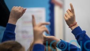 Plan to create special school centres branded ‘watered-down’ form of education