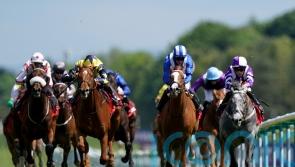 Contact makes an impression at Haydock