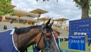 Above The Curve bags Prix Saint-Alary at Longchamp