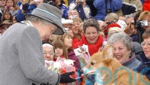 Queen’s favourite corgi breed now ‘beloved’ nationwide, says The Kennel Club