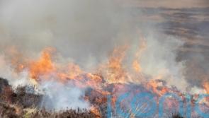 Protected peatland sites burned on grouse moors, campaigners claim