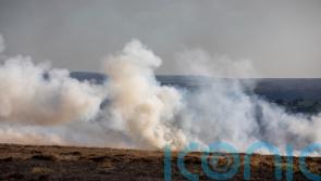 England’s ‘rainforests’: officials investigate reports of burning protected peat