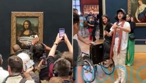 ‘Jaw-dropping’: Man disguised as woman in wheelchair hurls cake at Mona Lisa