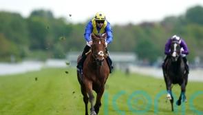 Dante hero Desert Crown leads Derby confirmations