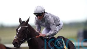 Burke lining up Royal Ascot team packed with promise