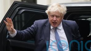 No 10 under fire over partygate claims as more Tories call on PM to go