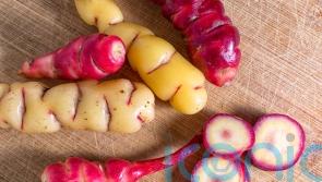 What food will gardeners be growing in future?