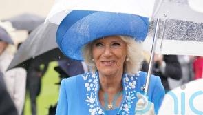 Camilla crowns volunteers Platinum Champions in Jubilee awards