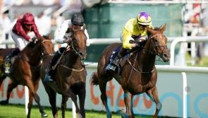 Fanshawe eyeing Lancashire Oaks option for Viola