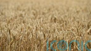 Ukrainian MP issues famine warning as she urges action on blocked ports
