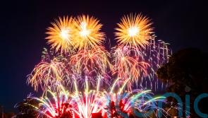 Animal charity raises concerns about Lurgan Park fireworks display