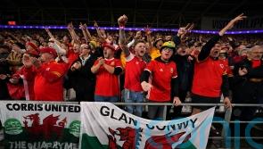 Wales fans warned against pitch invasion at Ukraine play-off