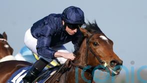 Tuesday leads four-strong Oaks raid for O’Brien