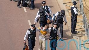 Animal Rebellion activists arrested after disruption at Jubilee parade