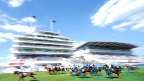 Adrian Nicholls treads familiar path with Dash hope Tees Spirit