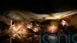 Replica of famed prehistoric cave to open in Marseille