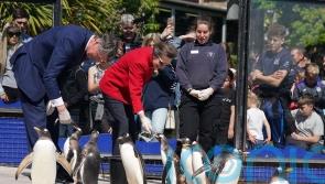 Princess Royal feeds penguins on visit to zoo