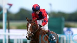 Imperial Fighter ready for Prix du Jockey Club battle