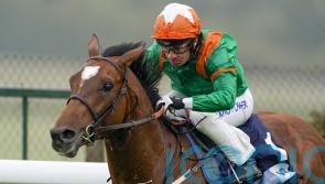 Lone Eagle in contention for Hardwicke Stakes