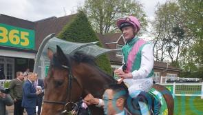 Beckett sights set on Irish Derby with Westover