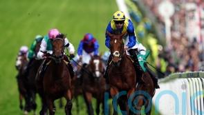 Desert Crown in top shape after Derby heroics