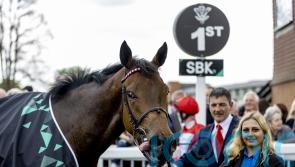 Clover considering future options for Rogue Millennium