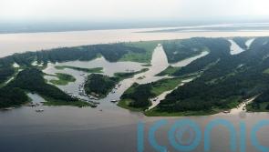 Sister of British journalist lost in Amazon appeals for help from authorities