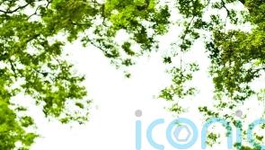 Gill Meller on the primal power of cooking &ndash; and eating &ndash; outside