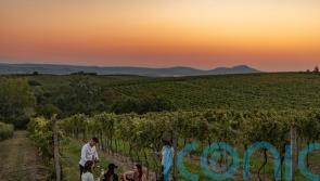 Move over Tuscany – the Czech Republic is the exciting new location for wine-tasting escapes